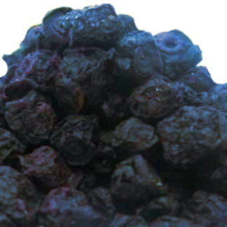 Blue Berries Dried