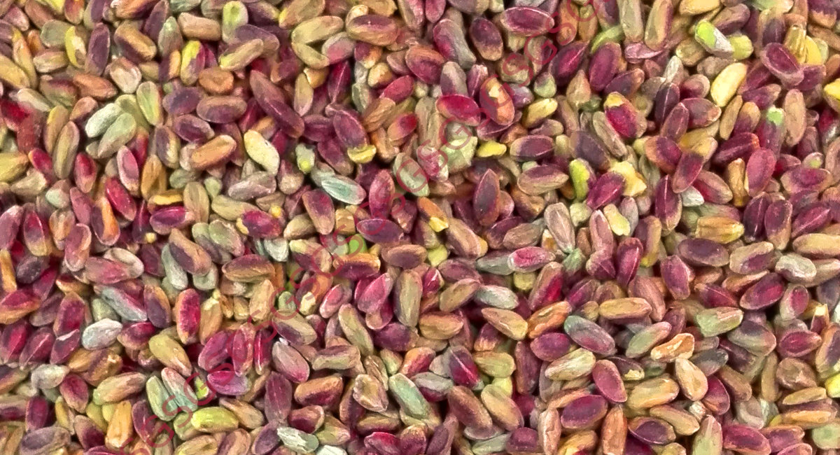 Pistachios Syria